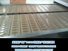 PD300 Jelly Gummy Candy Production Line w USA