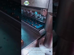 PD1000 W pełni automatyczna linia produkcyjna ciasteczek podwójnie kolorowych